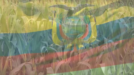 Digitale-Komposition-Der-Schwenkenden-Ecuador-Flagge-Vor-Der-Nahaufnahme-Von-Feldfrüchten-Auf-Dem-Bauernhof