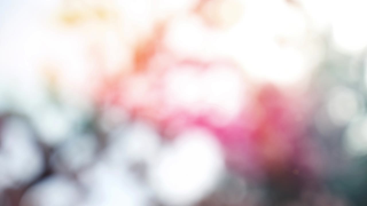 fondo de verano abstracto con bokeh