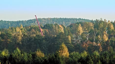 red crane in autumn forest