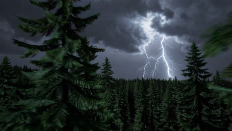 stormy night in the forest