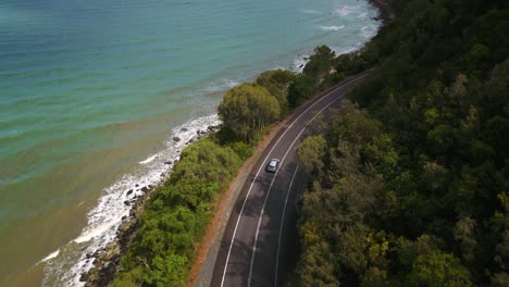 drone aerial bird view of modern silver car driving on road along the seaside coast with sandy beach and lush green tree forest and blue sea waves in 4k