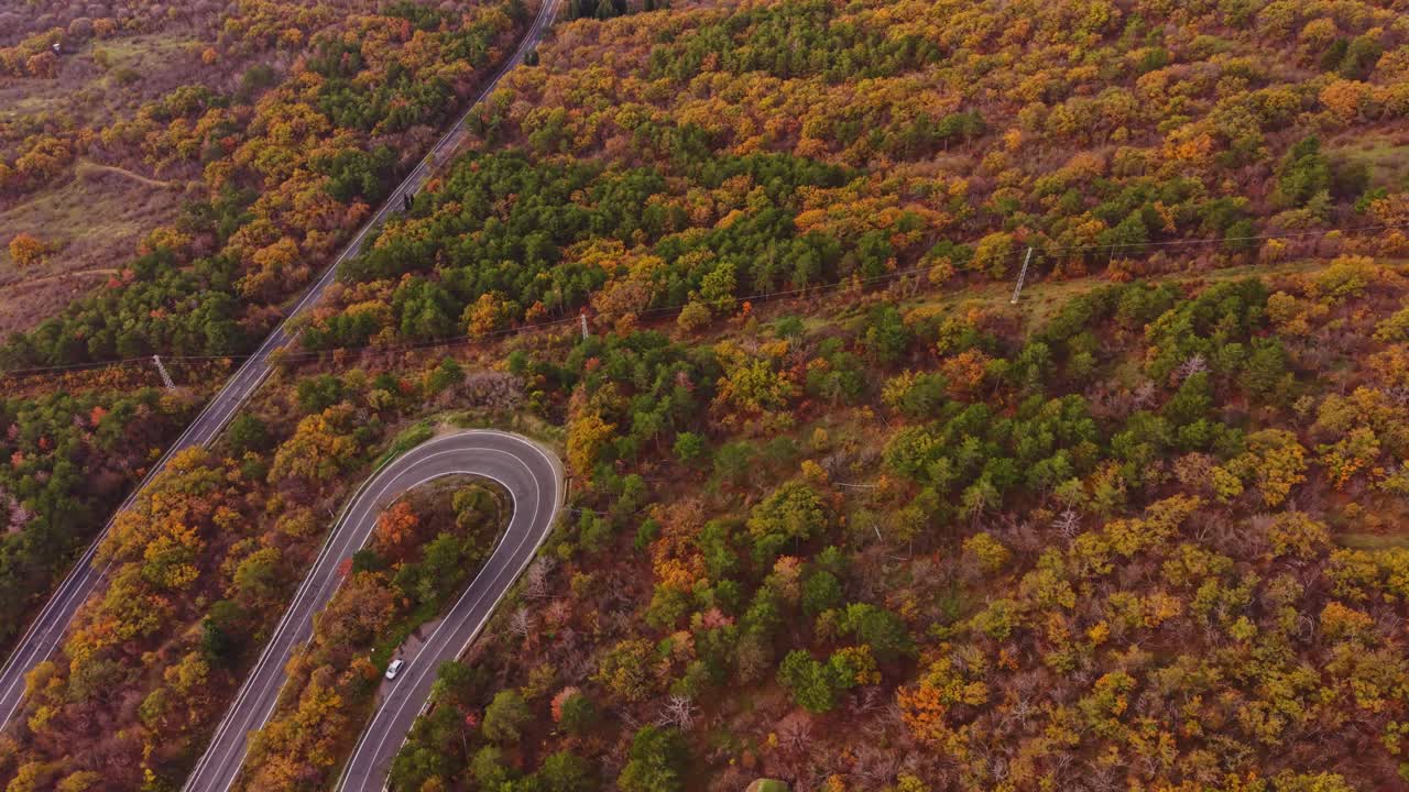 Autumn colors blanket the forests of Bulgaria from above