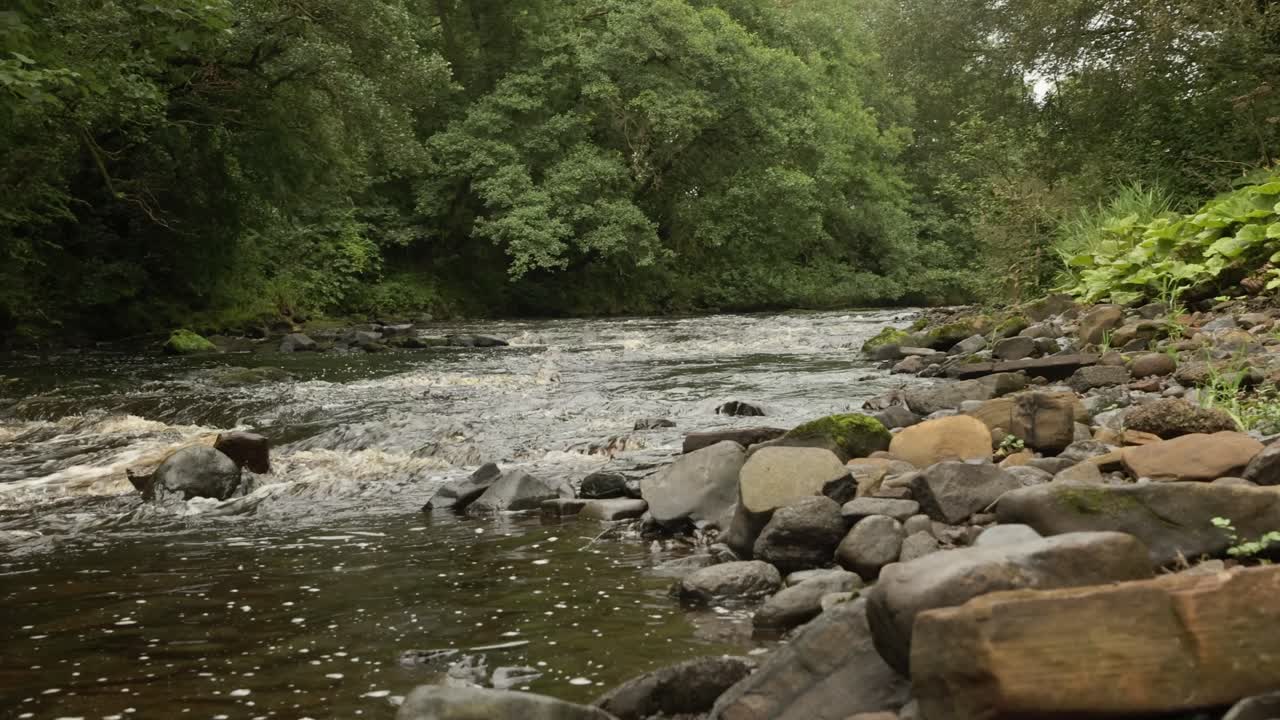 Panoramica lenta di un tratto di fiume a scorrimento rapido dopo forti piogge.