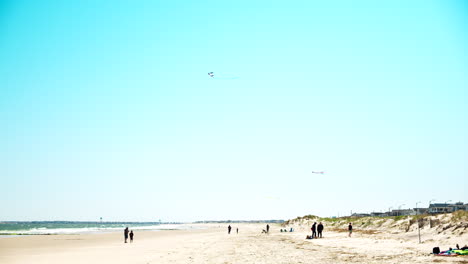 several families fly kites on new jersey beach