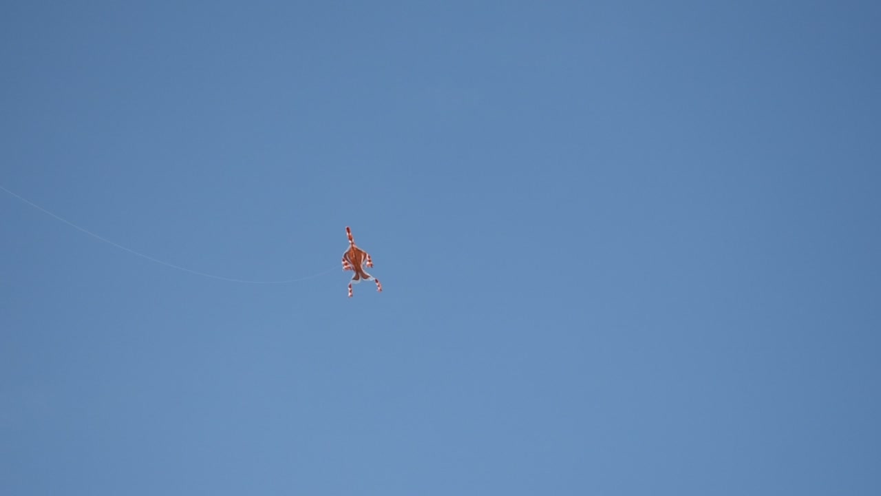 cometa en el cielo azul por la noche