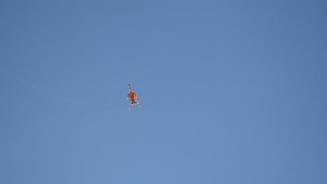 Kite-in-the-blue-sky-in-the-evening