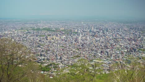 모이와 산 에서 볼 수 있는 사포로 도시 풍경 대도시