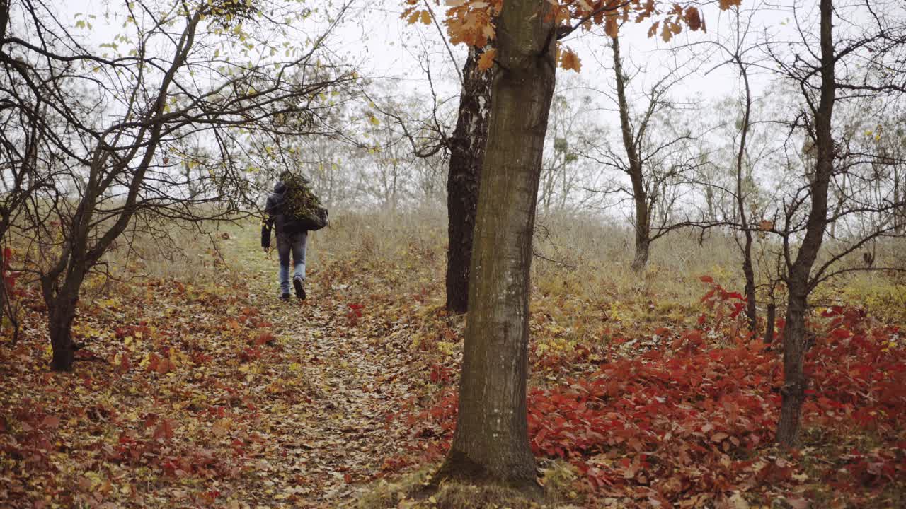 Pria berjalan di alam. Pendaki melakukan trekking di ladang dan hutan musim gugur kuning yang indah.