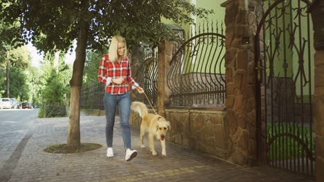 Charmante-Junge-Blonde-Frau,-Die-An-Einem-Sonnigen-Tag-Den-Labrador-hund-An-Der-Leine-Auf-Der-Straße-Spaziert