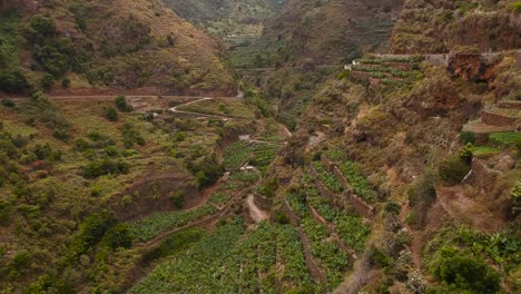 Toma-Aérea-De-Drones-De-Algunos-Cultivos-En-Terrazas-En-La-Palma,-Islas-Canarias,-España