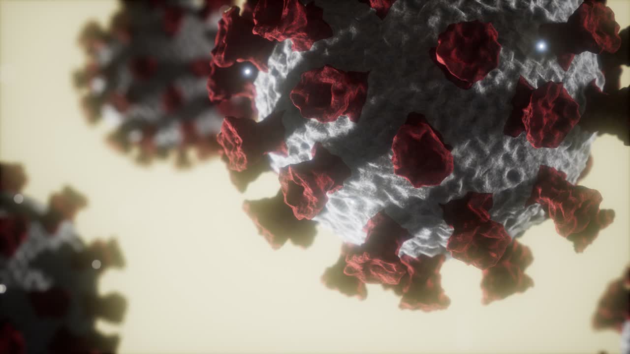 modelo médico del coronavirus covid-19