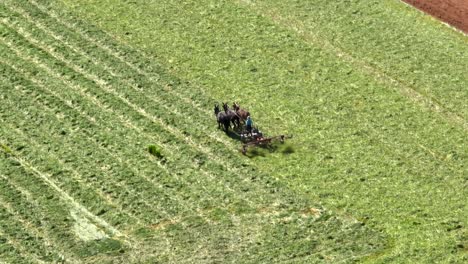 Toma-Aérea-De-Arriba-Hacia-Abajo-De-Un-Granjero-Amish-Que-Rastrilla-Un-Campo-De-Heno-Con-Mulas-En-El-Condado-De-Lancaster-Durante-El-Día-Soleado