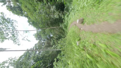 vertical fpv drone shot over a foothpath in forest to the hidden ubud waterfall in bali