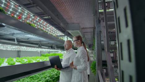 un equipo de científicos explora verduras cultivadas en granjas verticales usando computadoras y tabletas. la granja de verduras del futuro productos frescos y limpios sin gmo.