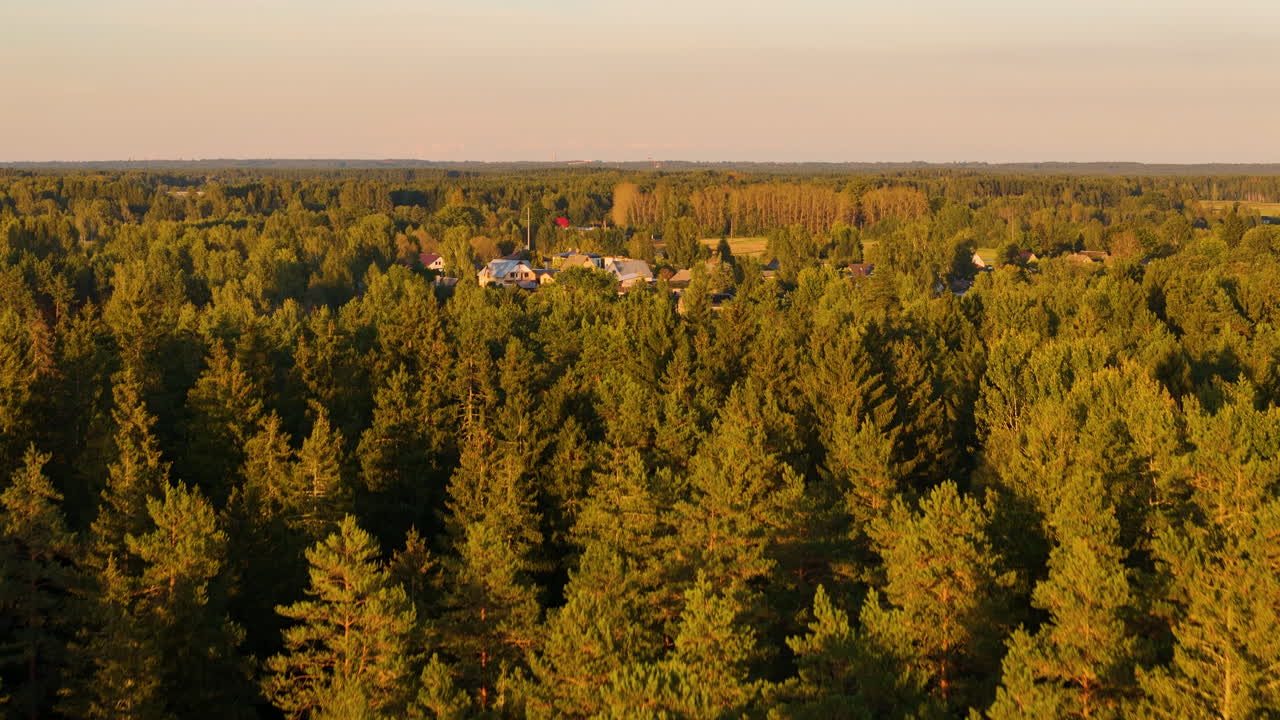 라트비아의 시구르다에서 해가 지는 동안 인쿠칼나스 마을 근처의 나무 숲.