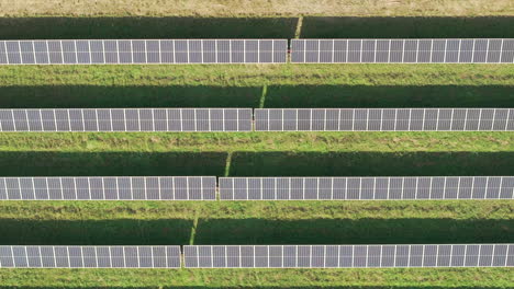 Vista-Aérea-Cercana-De-Una-Gran-Granja-Solar-Con-Muchas-Filas-De-Paneles-Solares-Que-Crean-Energía-Verde-Y-Renovable-Para-Reemplazar-Los-Combustibles-Fósiles-E-Impulsar-Una-Transición-Limpia-Para-Luchar-Contra-El-Cambio-Climático.