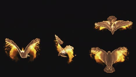 fiery phoenix birds from different sides on a transparent background