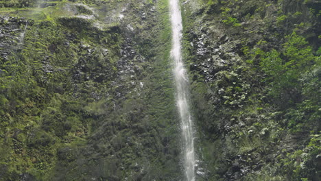 waterfall on levada caldeirao verde, madeira, portugal