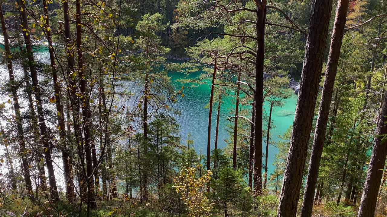 Foresta con il bellissimo lago Eibsee in Baviera sullo sfondo, con acqua turchese, molto vicino al monte Zugspitze