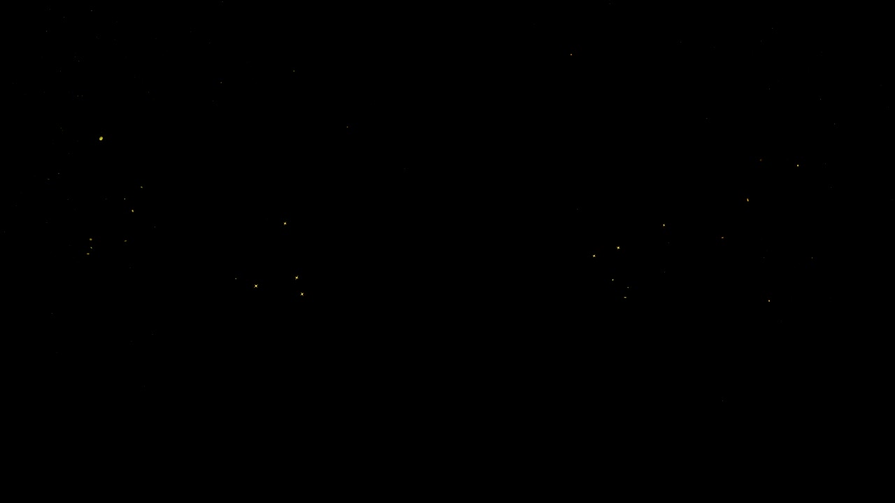 반이는 입자 트레일 오버레이와 전환.