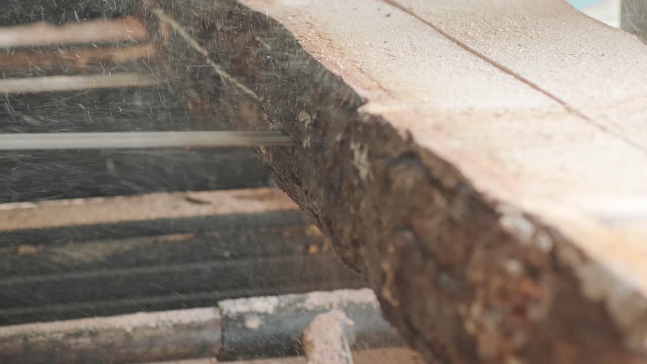 Closeup of cut pine tree log on sawing machine at wood production factory. Timber material processing and cutting at sawmill. Manufacturing process at lumber mill. Sawing woods on power machine