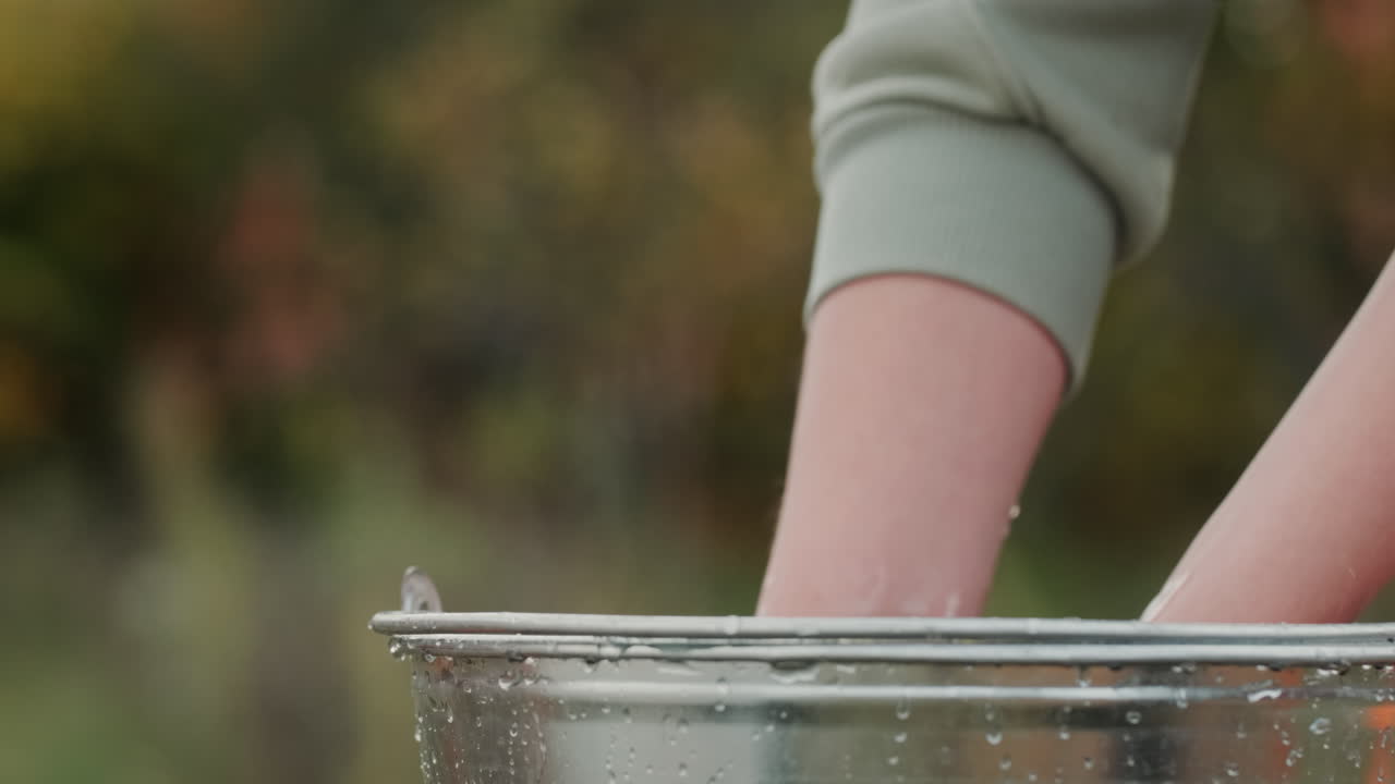 hombre que sostiene apetitosas manzanas amarillas sobre un balde de agua