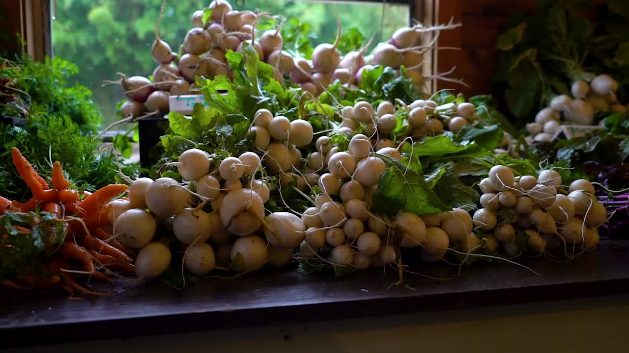 많은 흰 무가 진열되어 있다