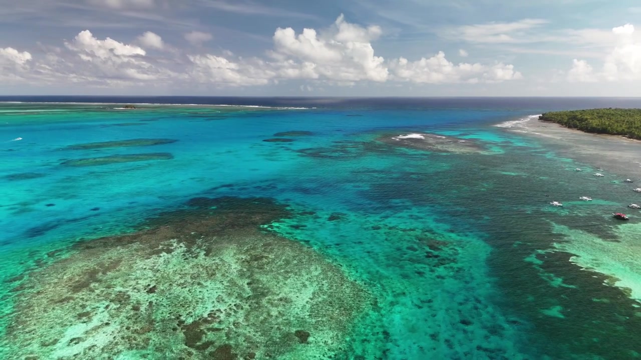 Splendida ripresa aerea con drone dall'alto su un vasto sistema di barriera corallina turchese e poco profondo lungo una costa di spiaggia di un'isola tropicale lussureggiante e alberata nelle Filippine sotto un cielo soleggiato.