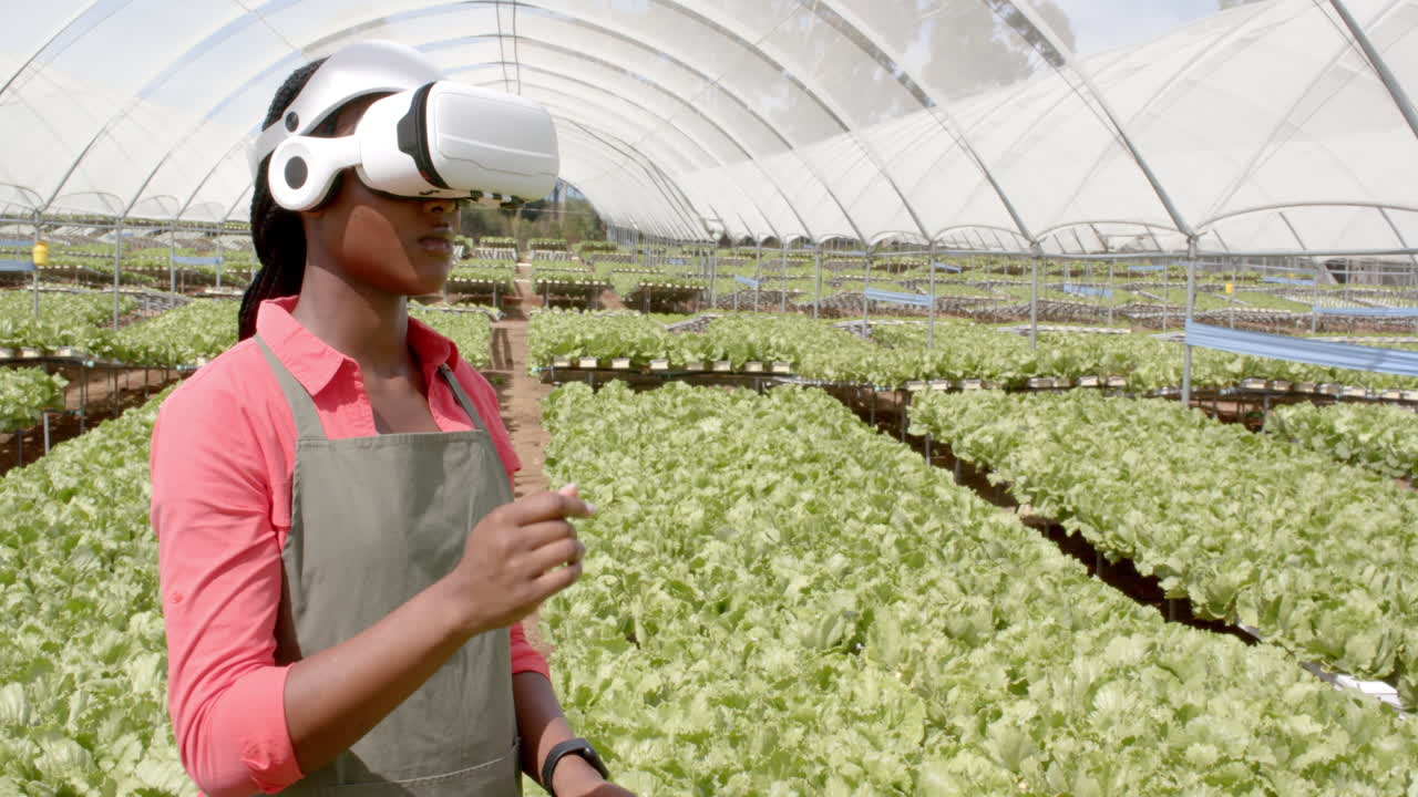 Using VR headset, african american woman managing hydroponic farm in greenhouse environment