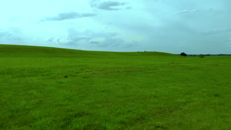 slow fly over green grass field, blue sky and grey clouds, aerial shot, cinema look