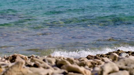 4k-60fps-Fokus-Rack-Slider-Aufnahme-Von-Angeschwemmten-Toten-Korallen-Am-Karibischen-Strand-Mit-Kristallklarem-Blauem-Meer-In-Curaçao