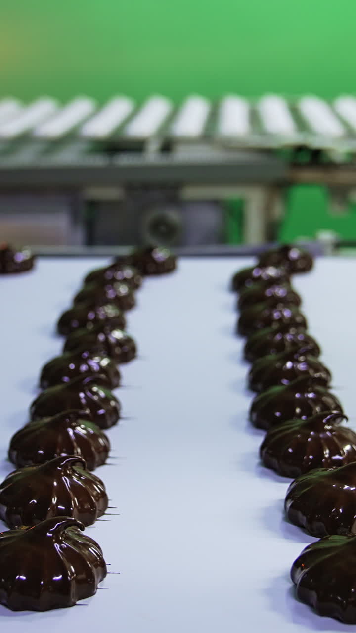 Shiny chocolate sweets move along the conveyor belt. Ready-made marshmallow desserts. Blurred background. Vertical video