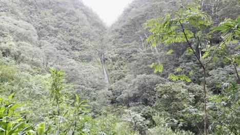 una cascada oculta cayendo en cascada a través de un bosque exuberante y verde