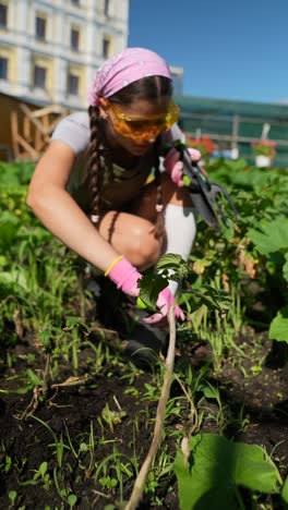 woman gardening in urban rooftop garden