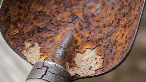 detailed close-up of a weathered shovel showing the effects of rust and time on its metal surface, highlighting the beauty of aging tools in nature's cycle