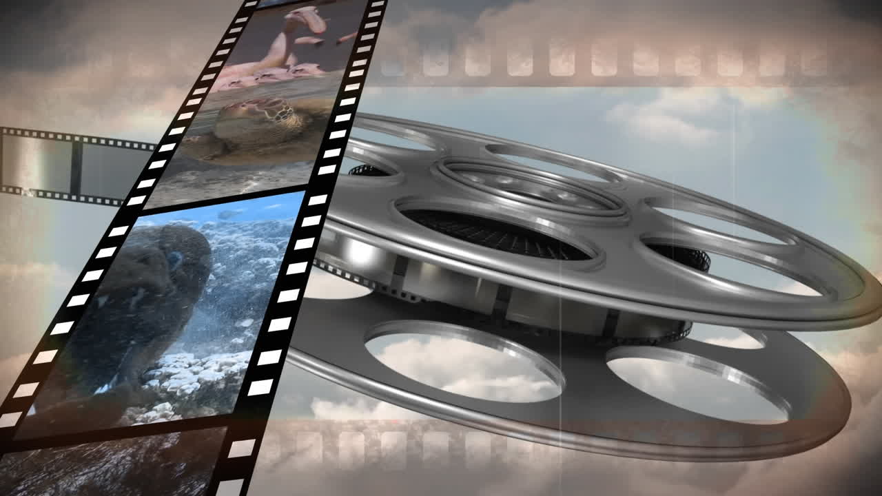 오래된 필름 릴