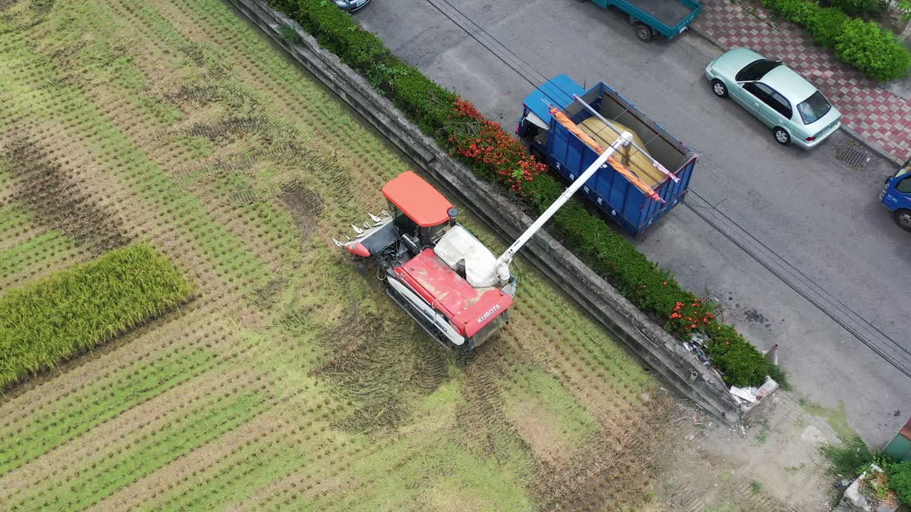 Aerial drone footage Cultivated rice paddy field, farmer harvesting the crops with multifunctional paddy harvesting machine rice harvester tractor and loading to the track at Doliu Yunlin City Taiwan
