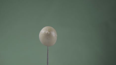 maní girando con bucle en la pantalla verde para la llave de croma