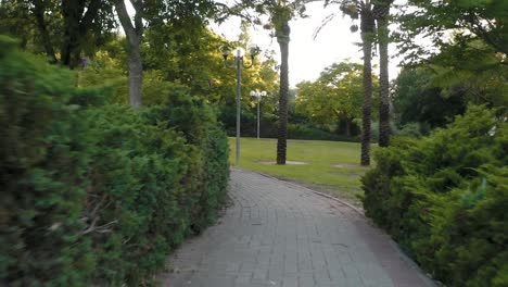 disparo suave de una pasarela del parque en el atardecer