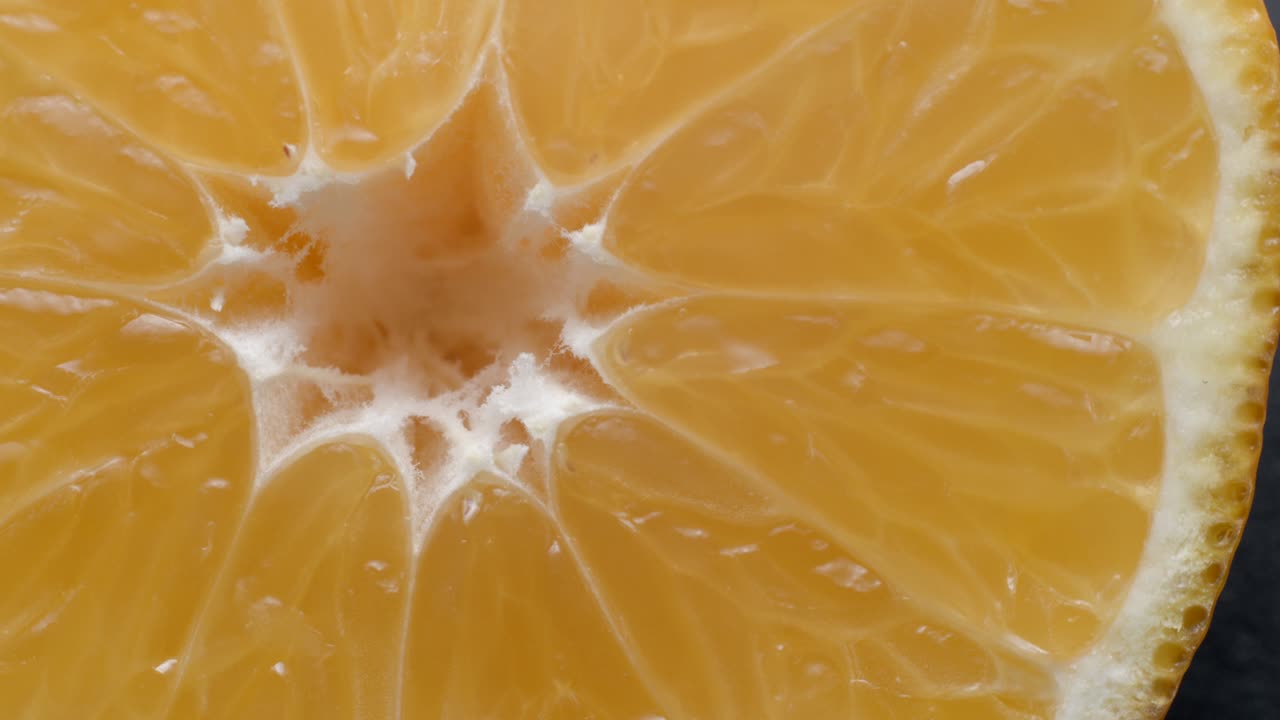 clementine macro estudio giratorio 4k