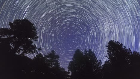 moving stars as trails around polaris in the center at night over over silhouette of trees in forest in llogara national park, albania