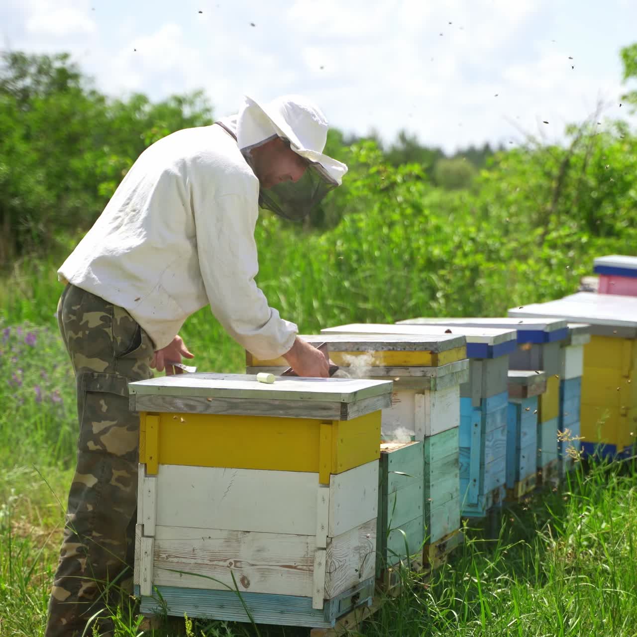 Apicoltore lavora nell'apiario