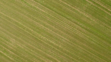 Luftdrohnenlandschaft-über-Und-In-Richtung-Grünes-Feld