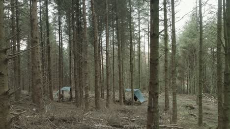Einfacher,-Robuster-Campingplatz-Mit-Planen-über-Hängematten-In-Einem-Trockenen-Borealen-Wald