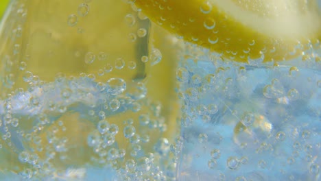 Lemon-Slice-in-Drink-with-Rising-Bubbles-Close-Up