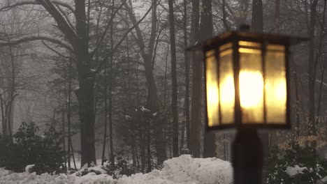 Fokussieren-Sie-Sich-Im-Winter-Auf-Ein-Licht-Im-Vorgarten