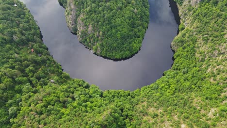 top-down aerial of vltava river's gentle curve surrounded by lush green forest