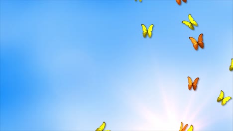 beautiful spring and summer design 4k animation with butterflies on light blue sky background for