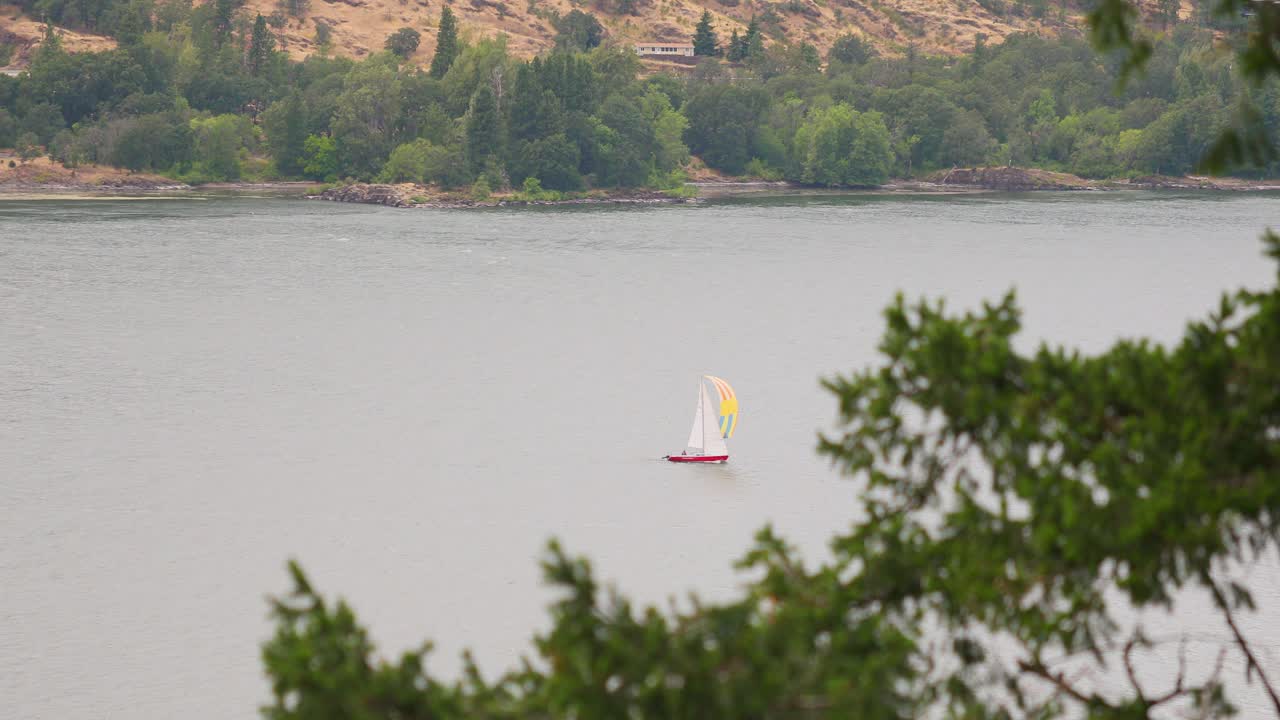 velero que viaja en el lago con bosque verde en la orilla del río
