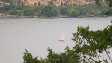 Sailboat-Traveling-At-The-Lake-With-Green-Forest-At-The-Riverside